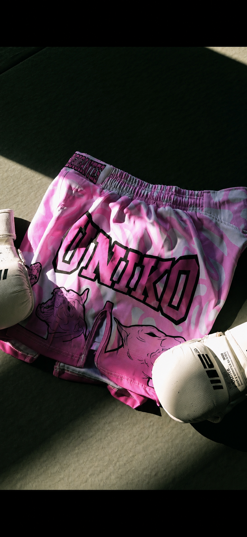 Fight Short “MATAGIGANTES”